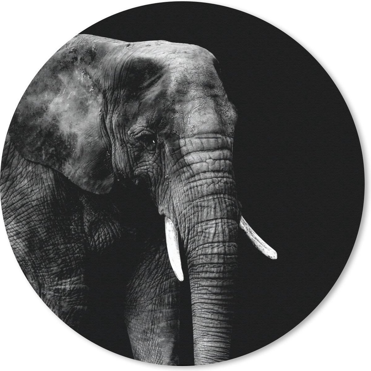 Muismat rond 50x50 cm - Mousepad Olifant - Dieren - Zwart - Wit - Ronde muismatten