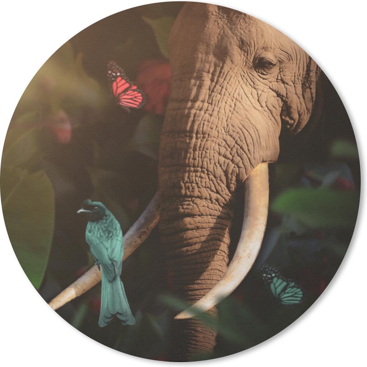 Muismat rond 40x40 cm - Mousepad Dieren - Vogel - Olifant - Jungle - Ronde muismatten