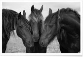 JUNIQE - Poster Black and White Horses -13x18 /Grijs & Zwart