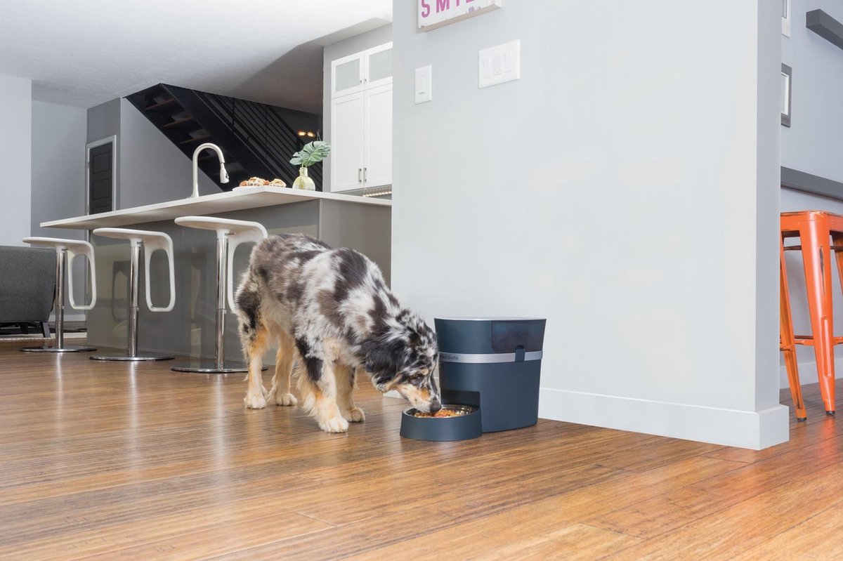 PetSafe Automatische voederbak met slimme app-bediening en roestvrijstalen kom thumbnail 6