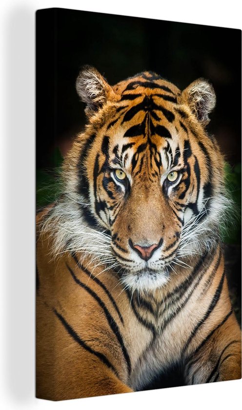 Penelope Executie motief Schilderij tijger - Roofdier - Tijger - Close-up - Tijger canvas - Foto op  canvas -... | bol.com