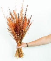 Droogbloemen Boeket - Terra Cotta - Gedroogde bloemen - Woondecoratie - Mix van 8 soorten ↑ 75cm