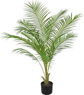 Areca kuntpalm Pl 110cm in pot