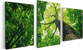 Artaza - Toile Peinture Triptyque - Arbre Dans La Forêt Aux Feuilles Vert Vif - 120x60 - Photo Sur Toile - Impression Sur Toile