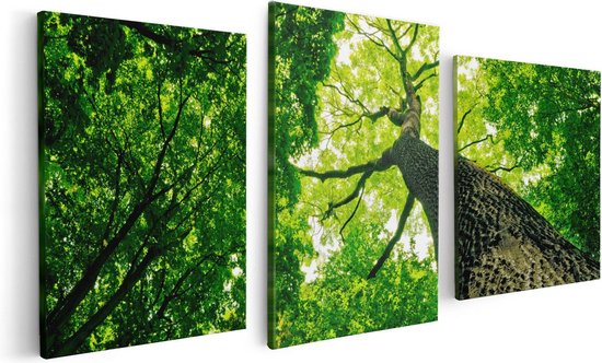 Artaza Canvas Schilderij Drieluik Boom In Het Bos Met Fel Groene Bladeren - 120x60 - Foto Op Canvas - Canvas Print