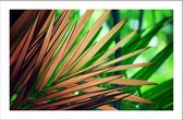 Walljar - Palm Blad - Muurdecoratie - Canvas schilderij