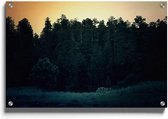 Walljar - Campside Forest - Muurdecoratie - Plexiglas schilderij