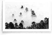 Walljar - Mistige Wolken Bos - Zwart wit poster