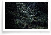 Walljar - Humid Forest - Muurdecoratie - Poster