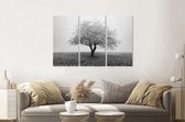 Schilderij -  Eenzame boom in zwart/wit, 120x80cm, 3 luik, premium print