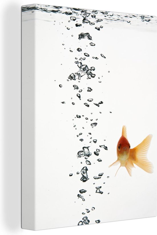 Poisson rouge avec des bulles d'air dans l'eau sur fond blanc toile 2cm 120x160 cm - Tirage photo sur toile (Décoration murale salon / chambre) XXL / Groot format!