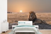 Papier peint - Papier peint photo Lion - Soleil - Afrique - Largeur 360 cm x hauteur 240 cm