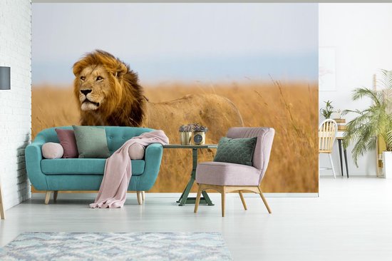Papier peint - Papier peint photo Lions - Herbe - Afrique - Largeur 330 cm x hauteur 220 cm
