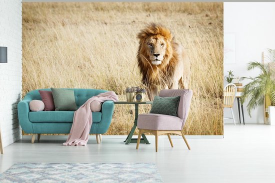 Papier Peint - Papier peint photo Lions - Afrique - Herbe - Largeur 360 cm x Hauteur 240 cm
