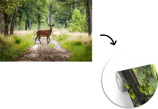 Papier peint - Papier peint photo Forêt - Cerfs - Arbres - Largeur 420 cm x hauteur 280 cm
