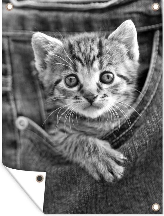 Tuin decoratie Een kitten in een denim jeans - zwart wit - 30x40 cm - Tuindoek - Buitenposter