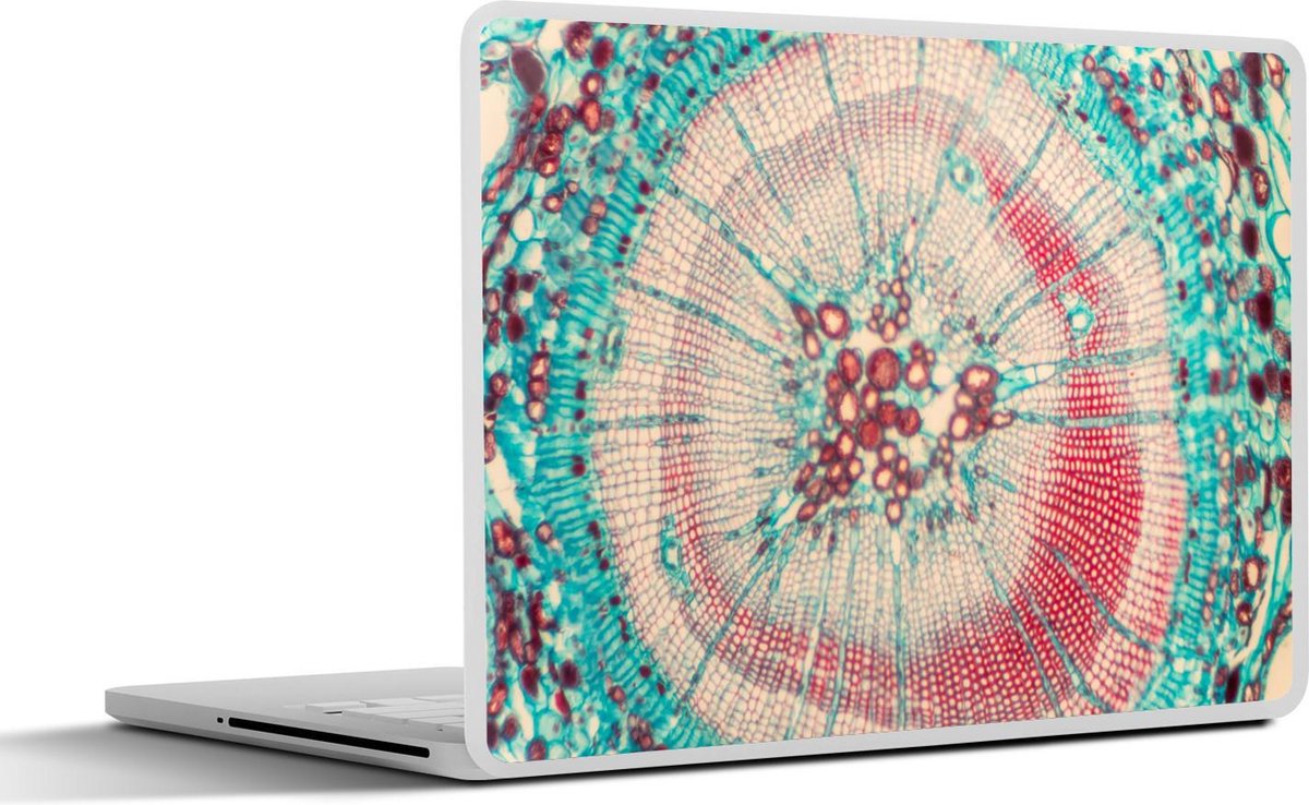 Laptop sticker - 15.6 inch - Cirkel - Blauw - Rood - 36x27,5cm - Laptopstickers - Laptop skin - Cover