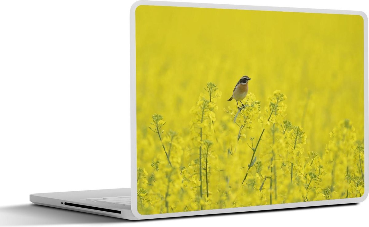 Laptop sticker - 17.3 inch - Een paapje op een koolzaad bloem