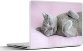 Laptop sticker - 14 inch - Grijze kat slaapt op een roze kleed - 32x5x23x5cm - Laptopstickers - Laptop skin - Cover