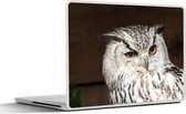 Laptop sticker - 14 inch - Bruine uil geeft een knipoog - 32x5x23x5cm - Laptopstickers - Laptop skin - Cover
