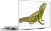 Laptop sticker - 12.3 inch - Een groene hagedis op een witte achtergrond - 30x22cm - Laptopstickers - Laptop skin - Cover
