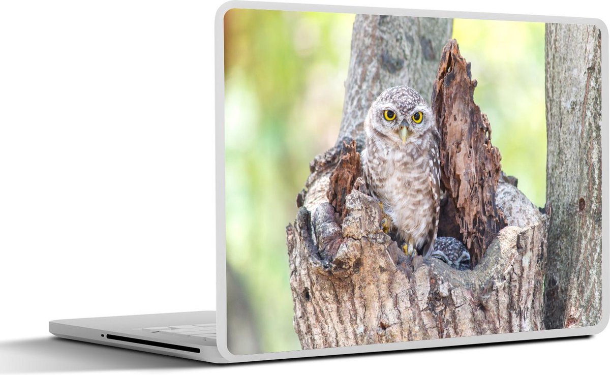 Afbeelding van product SleevesAndCases  Laptop sticker - 11.6 inch - Uil op boomstronk