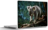 Laptop sticker - 13.3 inch - Koala - Boom - Takken - Kinderen - Jongetje - Meiden