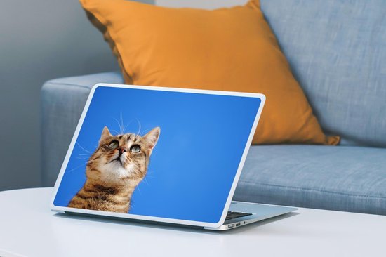 Autocollant pour ordinateur portable - 13,3 pouces - Chat - Marron - Ciel - Filles - Enfants - Garçons - Kids