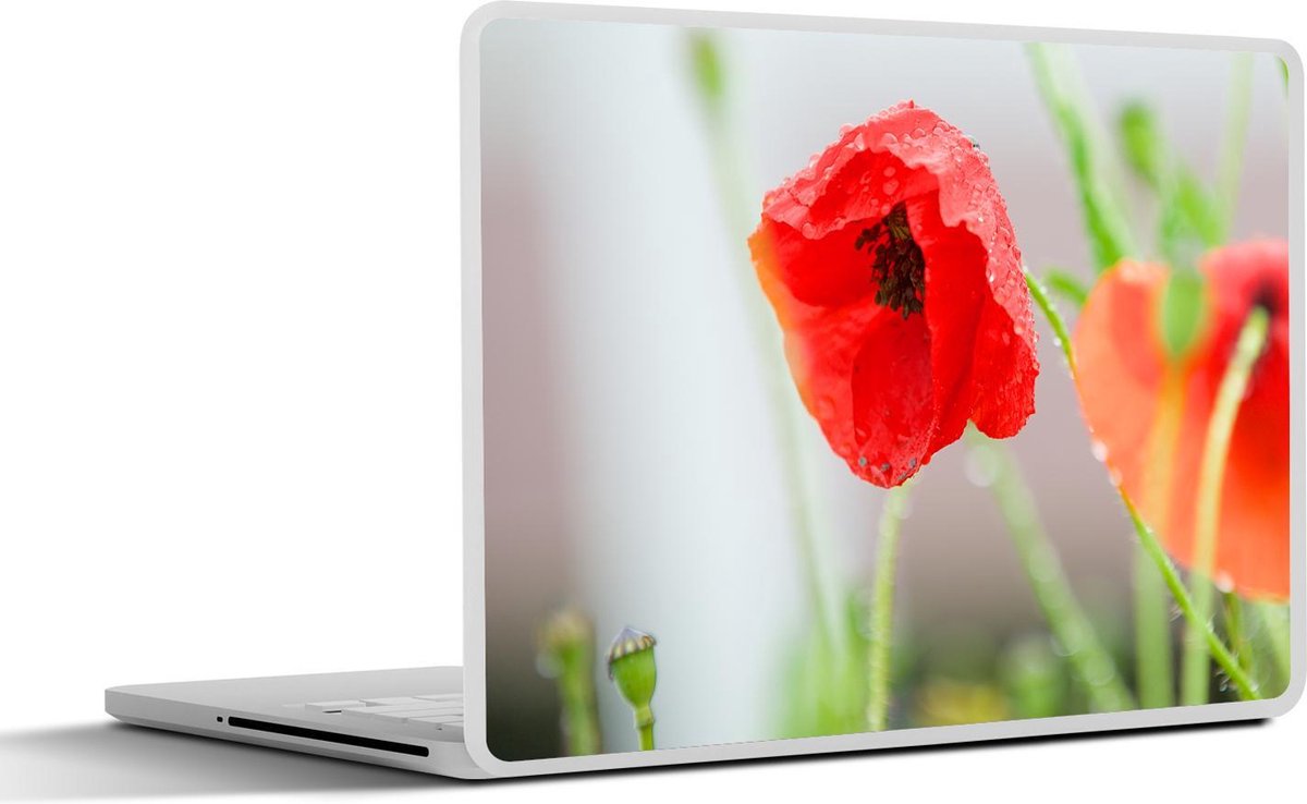 Afbeelding van product SleevesAndCases  Laptop sticker - 15.6 inch - Dauw op een rode papaver