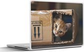 Laptop sticker - 15.6 inch - Kitten - Doos - Spelen - 36x27,5cm - Laptopstickers - Laptop skin - Cover