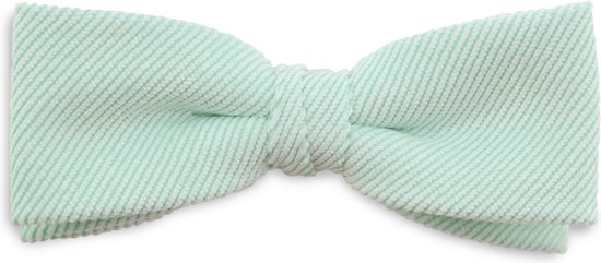 We Love Ties Sir Redman noeud en velours côtelé vert menthe