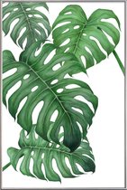 JUNIQE - Poster met kunststof lijst Tropical No.2 -30x45 /Groen & Wit