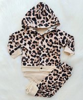 Babygirl Newborn Tijgerset + Jacket
