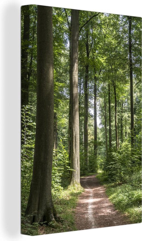 Peintures sur Toile - Forêt - Route - Été - 60x90 cm - Décoration murale