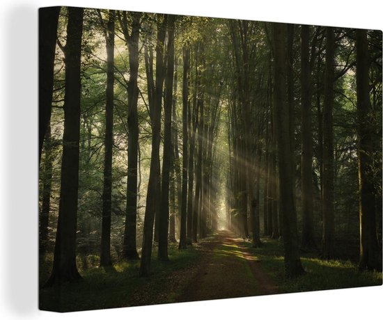 Canvas schilderij 150x100 cm - Wanddecoratie Bospad - Zonnestralen - Horizon - Bomen - Bos - Muurdecoratie woonkamer - Slaapkamer decoratie - Kamer accessoires - Schilderijen op canvas