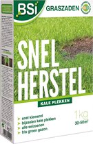 Graszaad Snel Herstel - 1 kg voor 50 m²