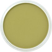 PanPastel Pastelnap Bright Yellow Green Shade 9 ml