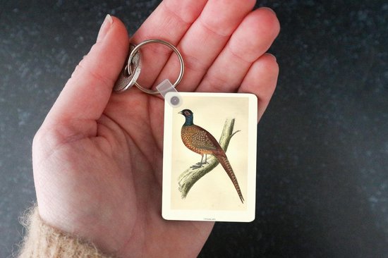 Porte-clés Antique Bird Prints - Antique oiseau imprimé faisan porte-clés en plastique - porte-clés rectangulaire avec photo