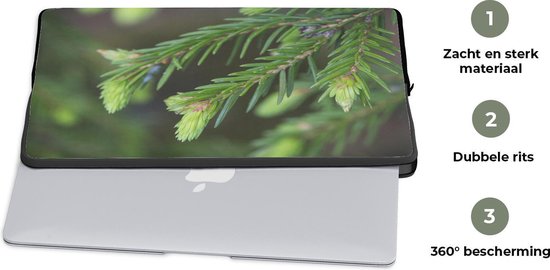 Etui pour ordinateur portable 13 pouces 34x24 cm - Sapin - Etui pour Macbook & Laptop Close-up d'une branche de sapin - Etui pour ordinateur portable avec photo