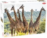 legpuzzel Animals giraffe 48 x 67 cm karton 1000 stukjes