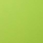 Florence Cardstock smooth A4 Lime