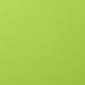 Karton - Cardstock - Gladde Afwerking - A4 - lime - Groen - 216 grams - Florence - 10 vellen