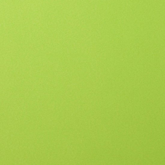 Florence Cardstock - Smooth (glad) 216 gr) - Hazelnut