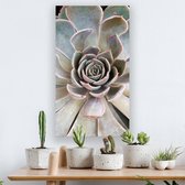 Canvas Schilderij Close Up Succulent Plant
