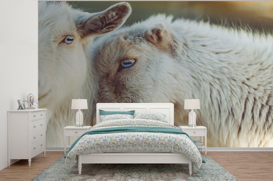 Papier Peint - Papier peint photo Animal - Chèvre - Oeil - Largeur 375 cm x Hauteur 300 cm