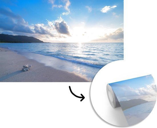 Papier peint - Papier peint photo Plage - Mer - Coquillage - Largeur 600 cm x hauteur 400 cm