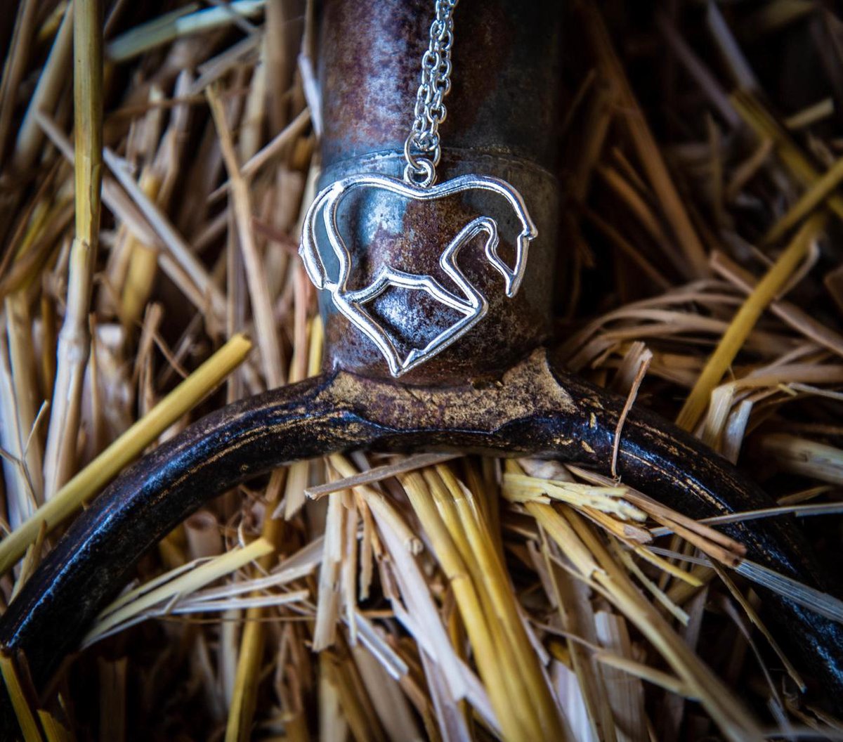GoedeDoelen.Shop | Ketting A Horse in your Heart | Paarden Ketting | Paarden Hart | Paarden Liefde | Statement Ketting | Vriendschapsketting | Wellness-House