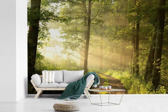 Papier peint - Papier peint photo Forêt - Soleil - Arbres - Largeur 420 cm x hauteur 280 cm