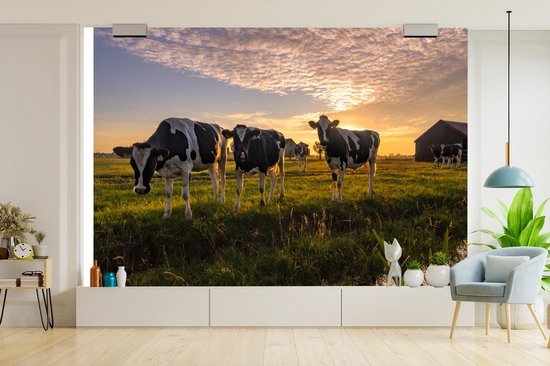 Papier peint - Papier peint photo Vache - Animal - Pâturage - Largeur 390 cm x hauteur 260 cm
