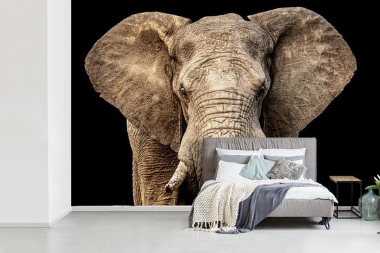 Papier peint - Papiers Papier peint photo Éléphant - Portrait - Zwart - Largeur 390 cm x Hauteur 260 cm